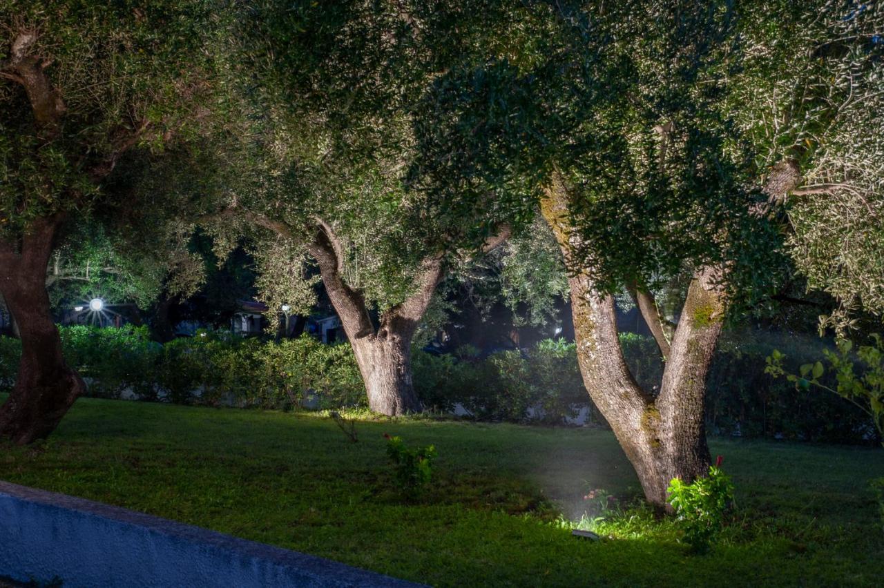 Casa Palinuro Vacanze Fronte Spiaggia Exteriör bild