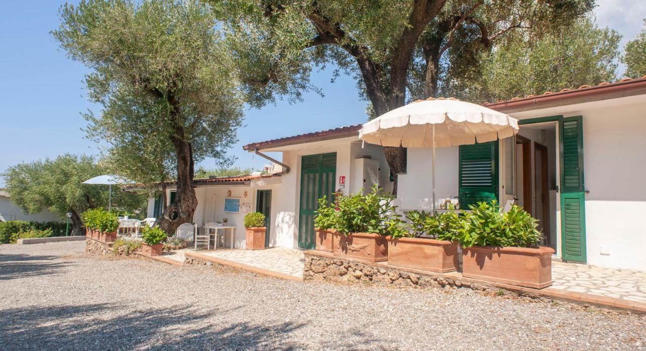 Casa Palinuro Vacanze Fronte Spiaggia Exteriör bild