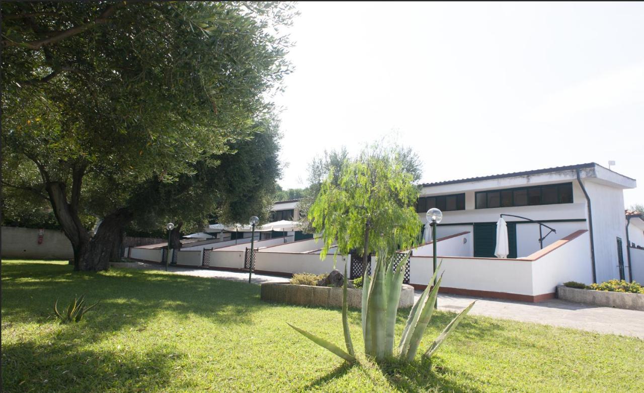 Casa Palinuro Vacanze Fronte Spiaggia Exteriör bild